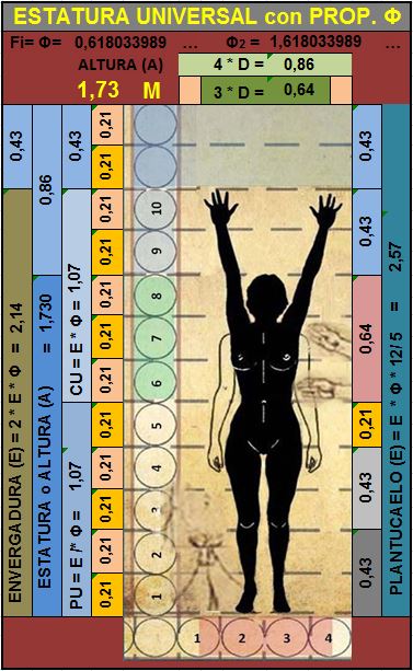 Canon ergonom&eacute;trico para la estatura promedio mundial
